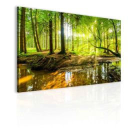 Obraz lesní úsvit Velikost (šířka x výška): 60x40 cm S-obrazy.cz