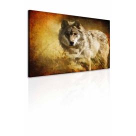 Obraz vlk Velikost (šířka x výška): 25x20 cm S-obrazy.cz