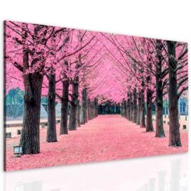Obraz růžová alej Velikost (šířka x výška): 90x60 cm S-obrazy.cz