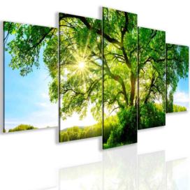 Vícedílný obraz strom Velikost (šířka x výška): 100x50 cm S-obrazy.cz