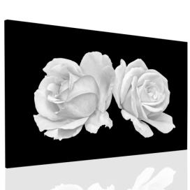 Obraz Růže Velikost (šířka x výška): 90x60 cm