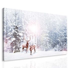 Obraz Jelen na sněhu Velikost (šířka x výška): 120x70 cm