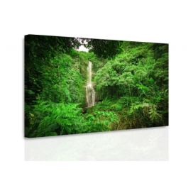 Obraz vodopád v lese Velikost (šířka x výška): 60x40 cm S-obrazy.cz