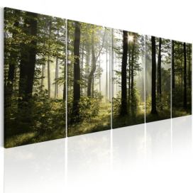 Obraz Lesní probuzení + háčky a hřebíčky ZDARMA Velikost (šířka x výška): 200x80 cm