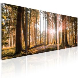 Obraz ráno v lese + háčky a hřebíčky ZDARMA Velikost (šířka x výška): 200x80 cm