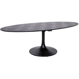Černý dubový oválný jídelní stůl Richmond Blax 230 x 100