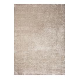 Béžovo-šedý koberec 160x230 cm – Universal Bonami.cz