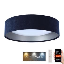  LED Stropní svítidlo SMART GALAXY LED/24W/230V Wi-Fi Tuya modrá/stříbrná + DO 