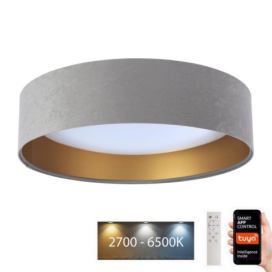  LED Stropní svítidlo SMART GALAXY LED/24W/230V Wi-Fi Tuya šedá/zlatá + DO 