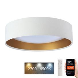  LED Stropní svítidlo SMART GALAXY LED/24W/230V Wi-Fi Tuya bílá/zlatá + DO 