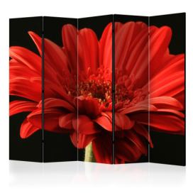 Artgeist Paraván - Red gerbera flower II [Room Dividers] Velikosti (šířkaxvýška): 225x172