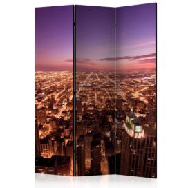 Artgeist Paraván - Chicago Panorama [Room Dividers] Velikosti (šířkaxvýška): 135x172