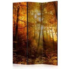 Artgeist Paraván - Autumn Illumination [Room Dividers] Velikosti (šířkaxvýška): 135x172