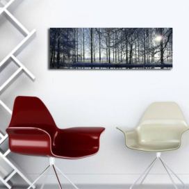 Wallity Obraz s LED osvětlením ZIMNÍ KRAJINA 37 30 x 90 cm