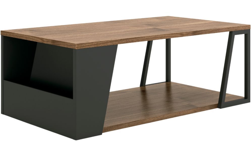 Černý ořechový konferenční stolek TEMAHOME Albi 100 x 55 cm - Designovynabytek.cz