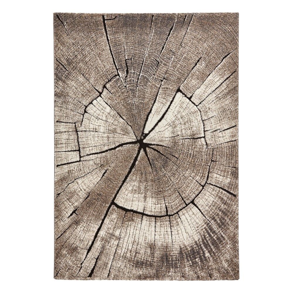 Béžový koberec 230x160 cm Woodland - Think Rugs - Bonami.cz