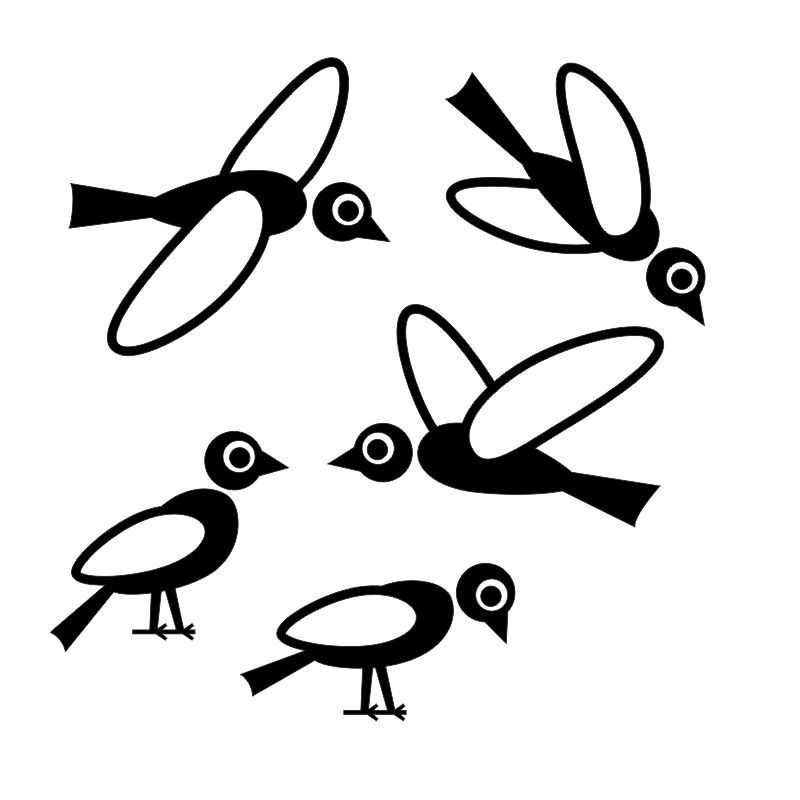 Pieris design Ptáci - samolepky na okno bílá - Pieris design