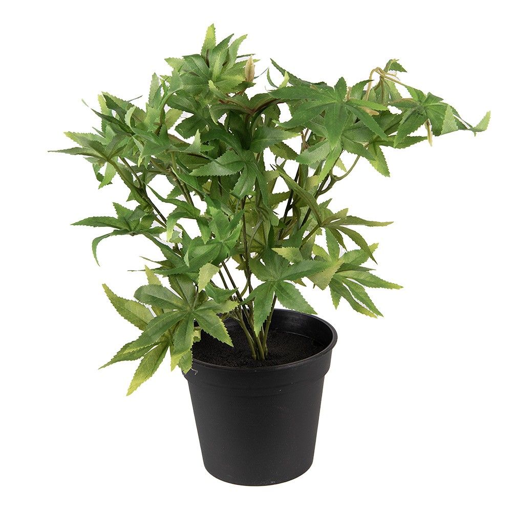 Dekorační zelená umělá rostlina - 34*34*36 cm Clayre & Eef - LaHome - vintage dekorace