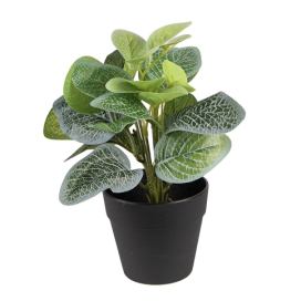 Dekorační zelená umělá rostlina - 20*20*22 cm Clayre & Eef