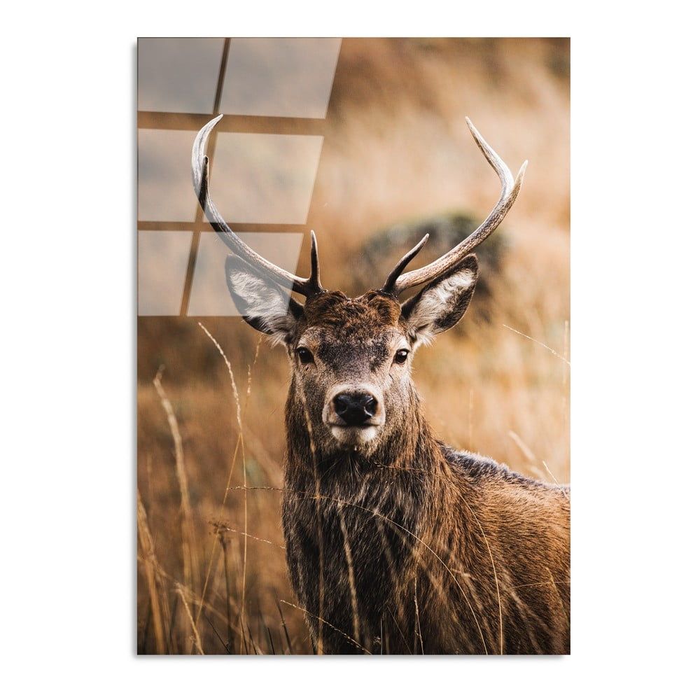Skleněný obraz 70x100 cm Deer – Wallity - Bonami.cz