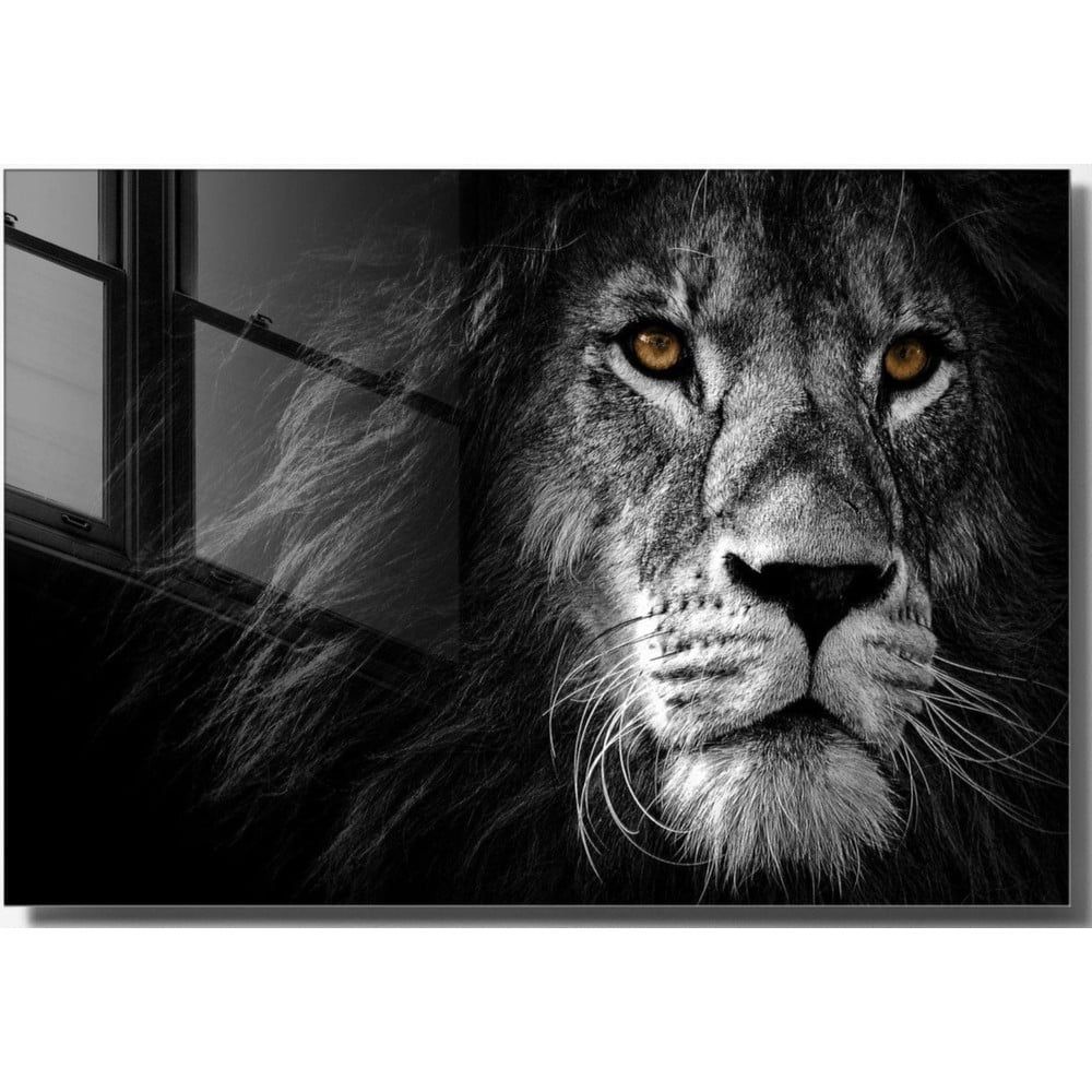 Skleněný obraz 70x50 cm Lion – Wallity - Bonami.cz