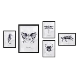 Obrazy v sadě 5 ks Butterfly – Wallity