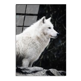 Skleněný obraz 70x100 cm White Wolf – Wallity Bonami.cz
