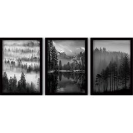 Obrazy v sadě 3 ks 35x45 cm Black & White – Wallity Bonami.cz