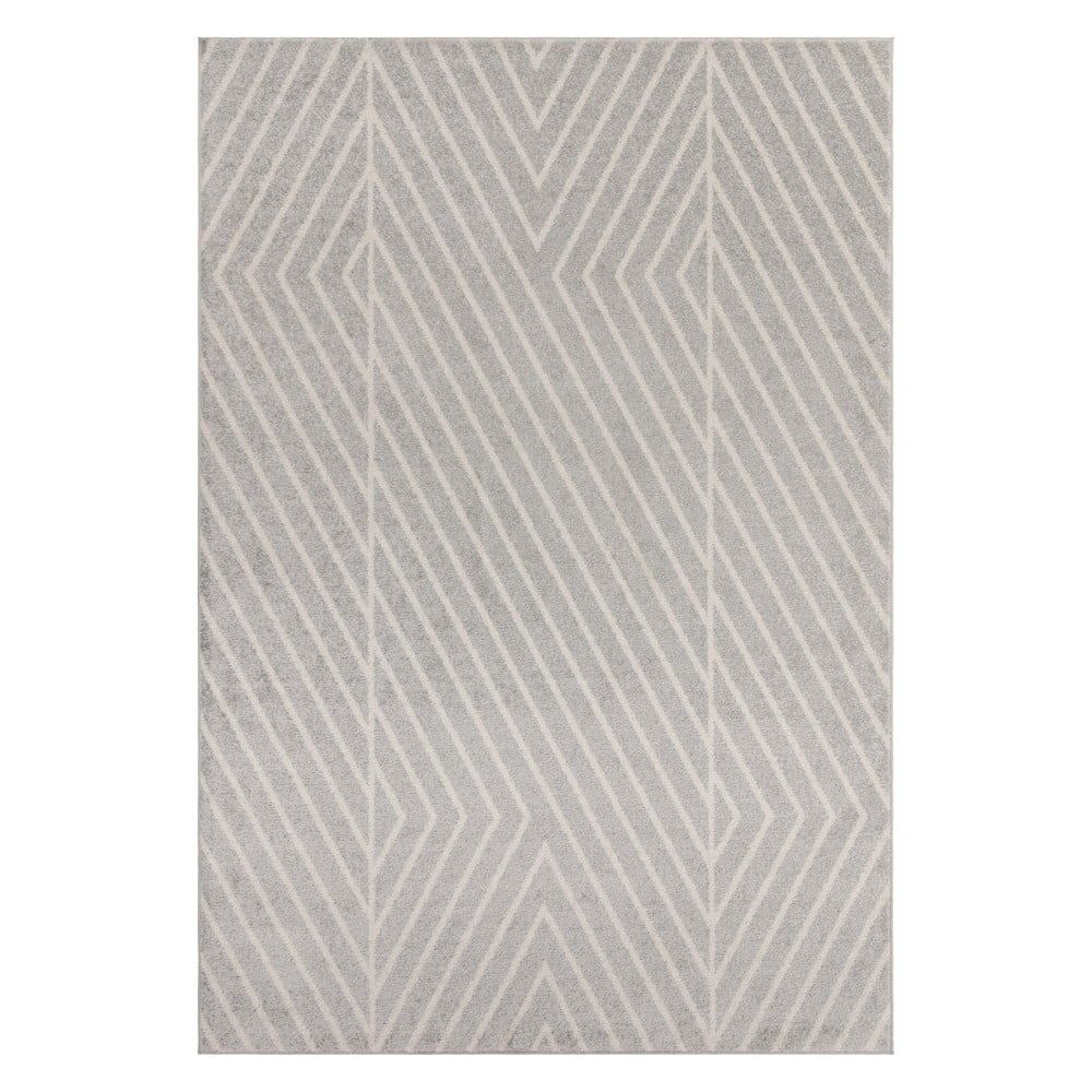 Světle šedý koberec 120x170 cm Muse – Asiatic Carpets - Bonami.cz