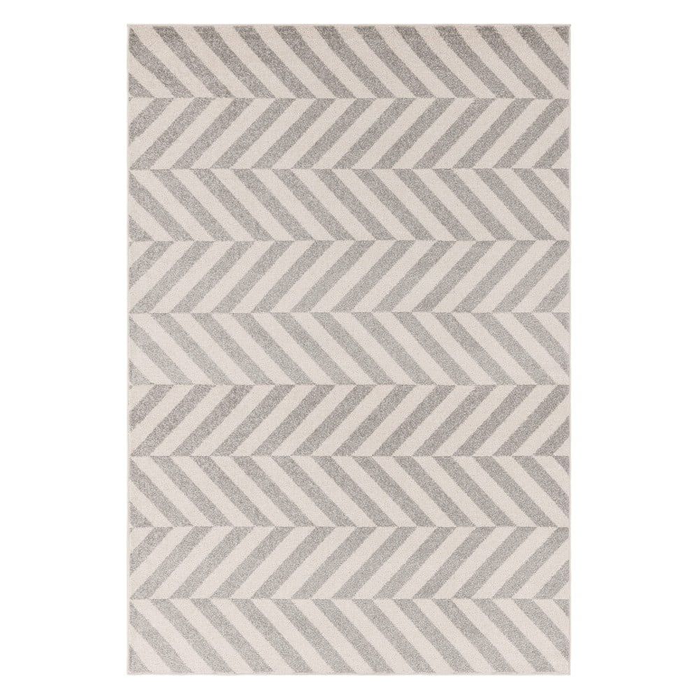 Světle šedý koberec 160x230 cm Muse – Asiatic Carpets - Bonami.cz