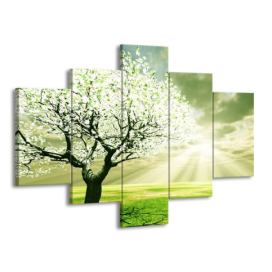 Vícedílný obraz Paprsky slunce a strom 111x80