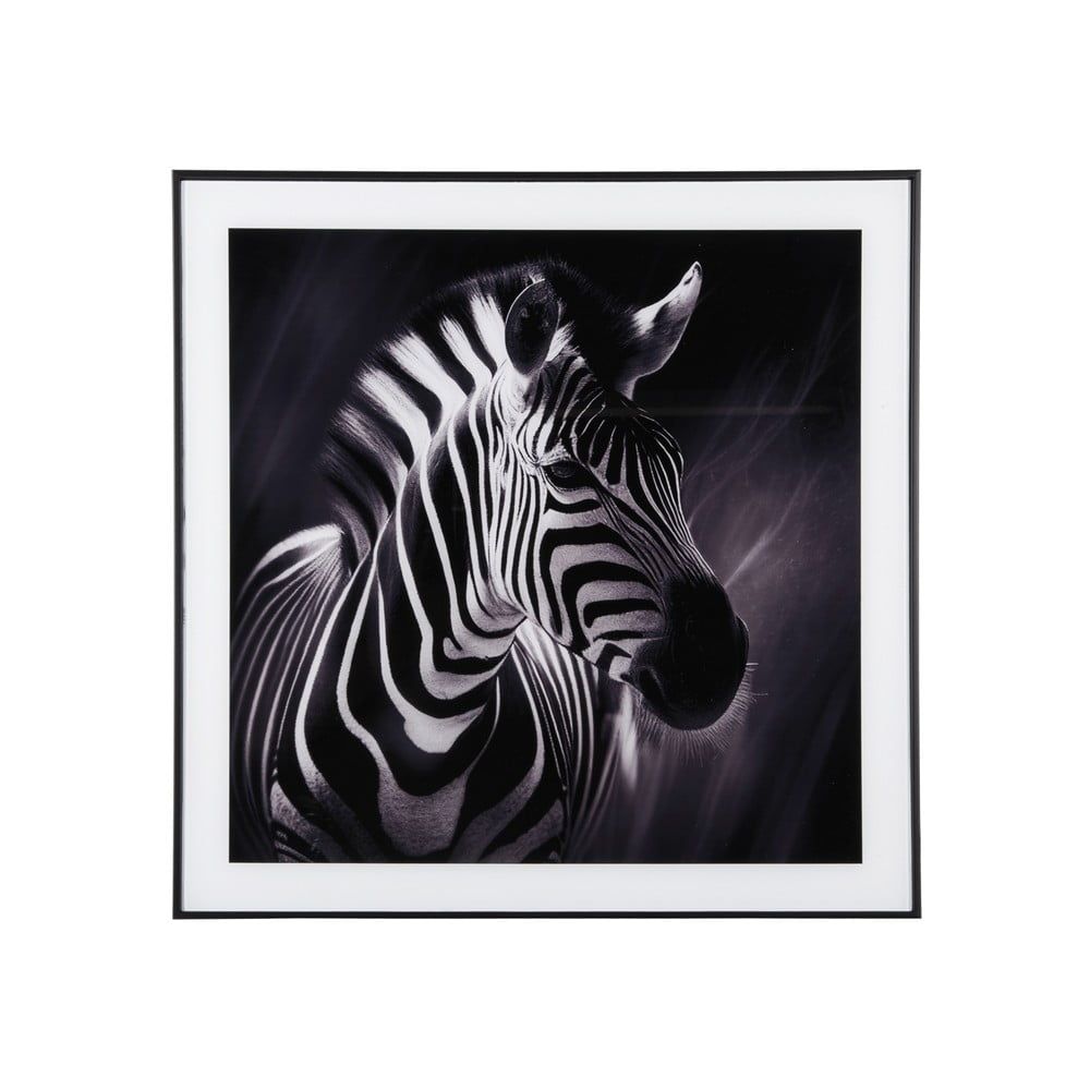 Obraz 50x50 cm  Zebra  – PT LIVING - Bonami.cz