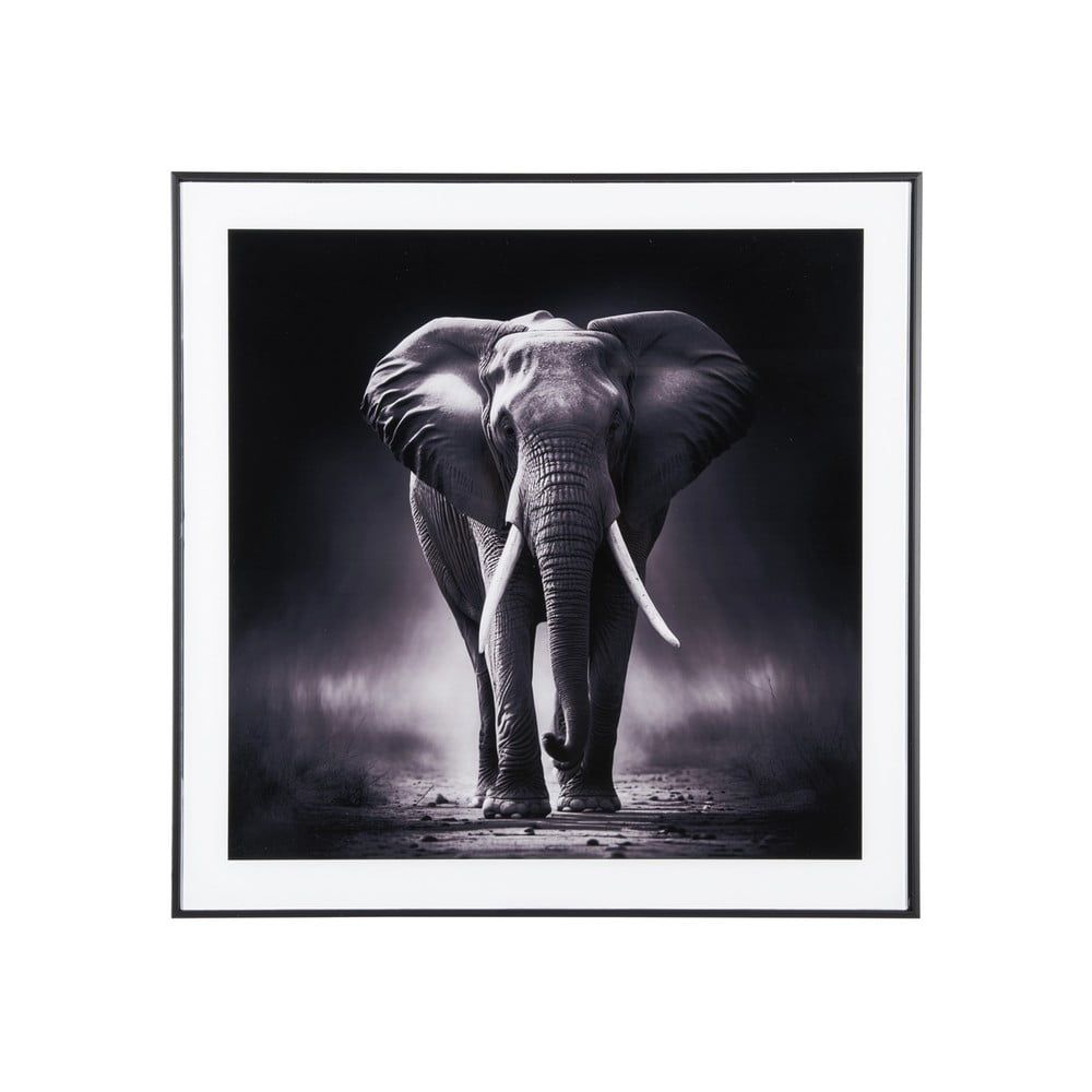 Obraz 50x50 cm  Elephant  – PT LIVING - Bonami.cz