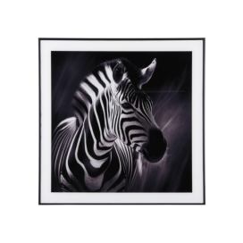 Obraz 50x50 cm  Zebra  – PT LIVING Bonami.cz