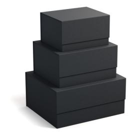 Kartonové úložné boxy s víkem v sadě 3 ks Ilse – Bigso Box of Sweden