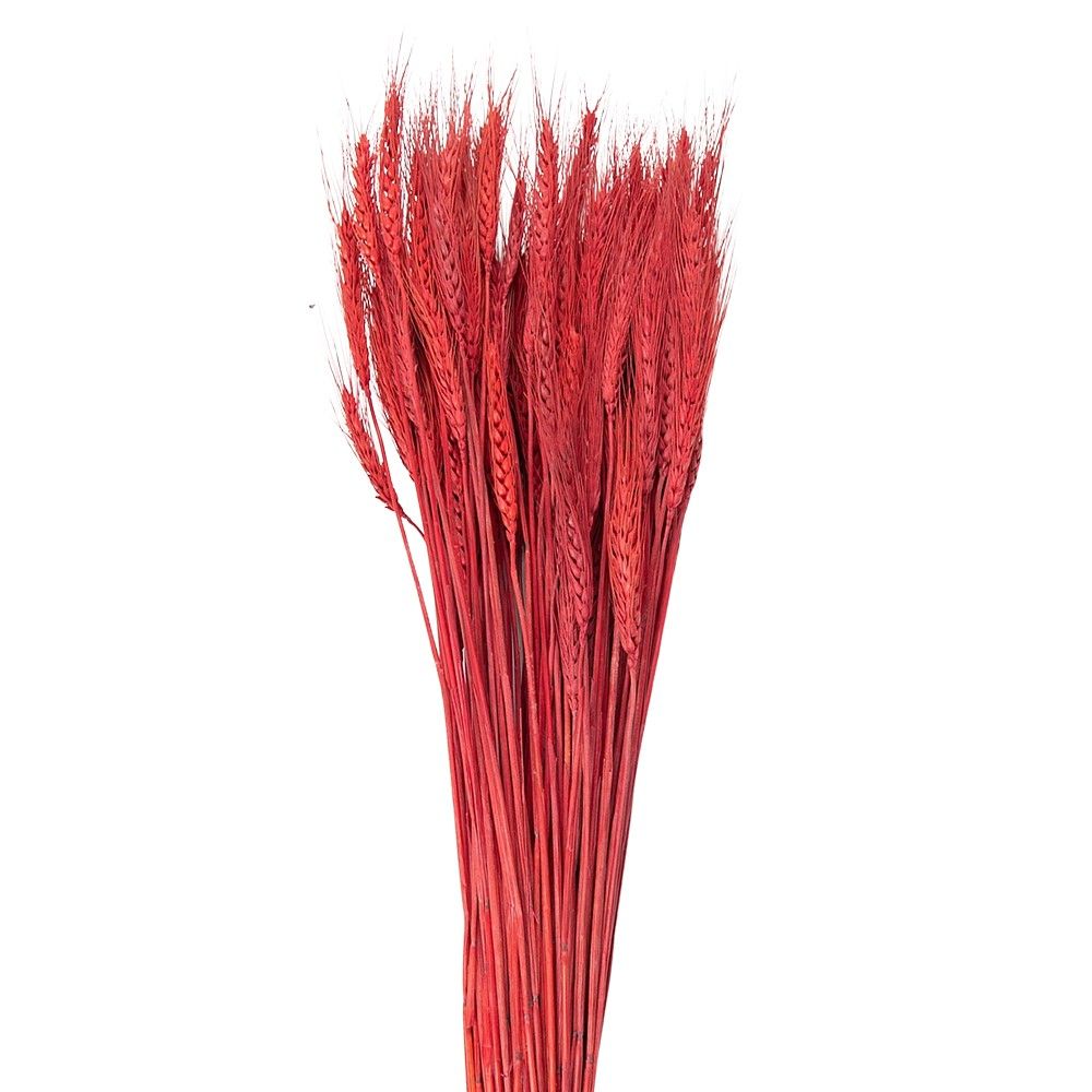 Červená květina pšeničné sušené klasy - 80  cm (200 gr) Clayre & Eef - LaHome - vintage dekorace