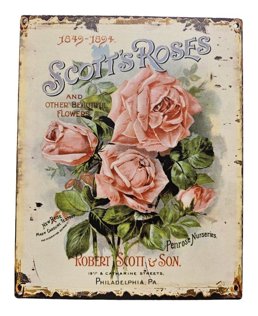 Béžová nástěnná kovová cedule s růžemi Scotts Roses - 20*25 cm Ostatní - LaHome - vintage dekorace