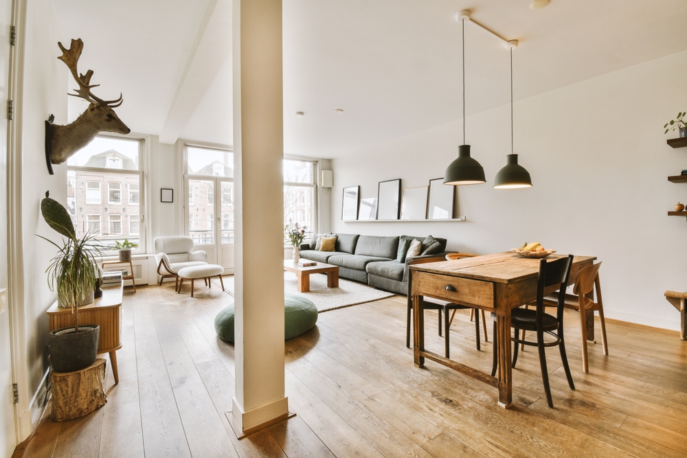 Moderní severský obývací pokoj - 