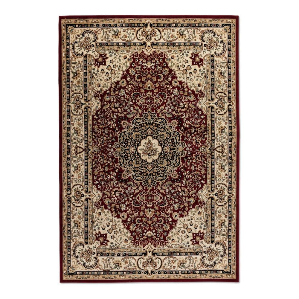 Vínovo-béžový koberec 160x235 cm Herat – Nouristan - Bonami.cz