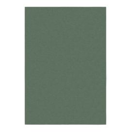 Zelený koberec 200x290 cm – Flair Rugs Bonami.cz