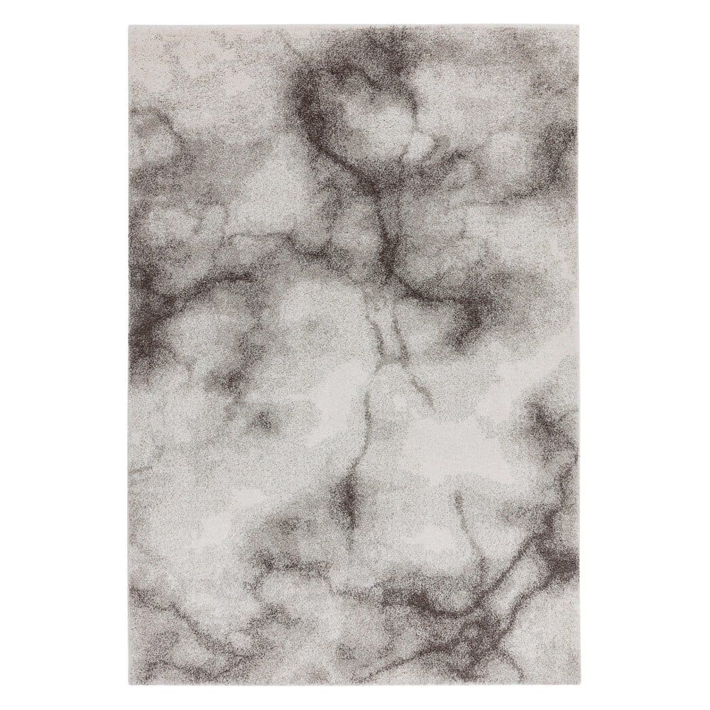 Šedý koberec 160x230 cm Dream – Asiatic Carpets - Bonami.cz