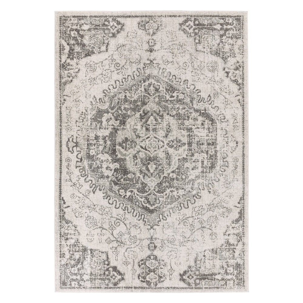 Šedo-krémový koberec 200x290 cm Nova – Asiatic Carpets - Bonami.cz