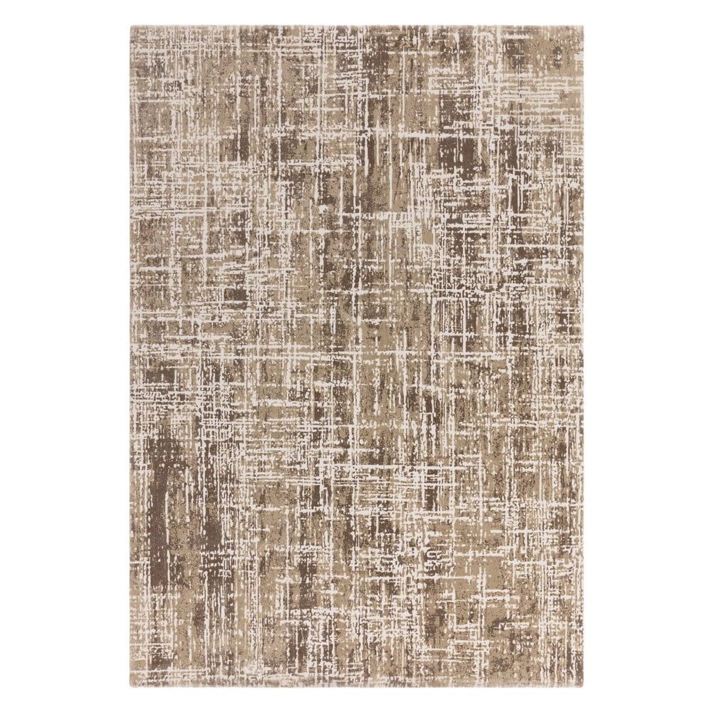 Béžový koberec 240x340 cm Kuza – Asiatic Carpets - Bonami.cz
