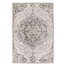 Šedo-krémový koberec 200x290 cm Nova – Asiatic Carpets Bonami.cz
