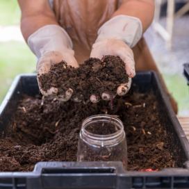 earthworms-on-hand-for-organic-fertilizer-farming-2023-11-27-04-53-57-utc-min.jpg