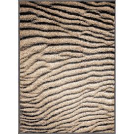 Hnědý koberec 80x120 cm Avanti – FD Bonami.cz