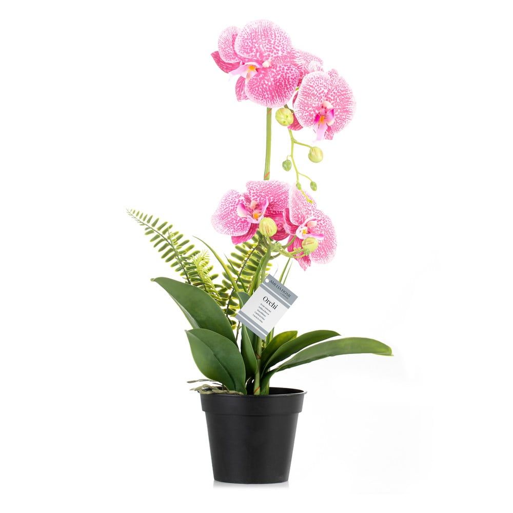 Umělá květina (výška 55 cm) Orchid – AmeliaHome - Bonami.cz