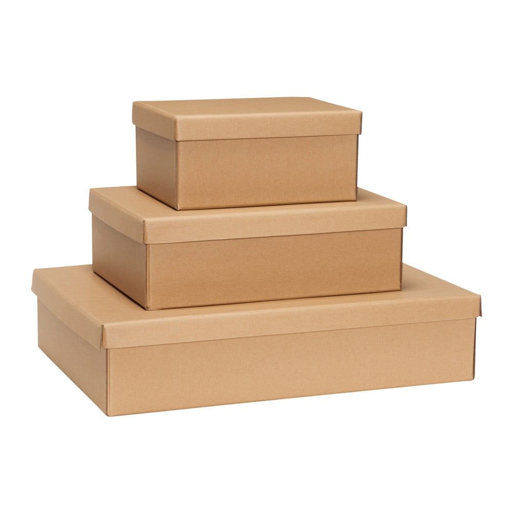 Kartonové úložné boxy s víkem v přírodní barvě v sadě 3 ks 44x31x10 cm Storeit – Hübsch - Bonami.cz