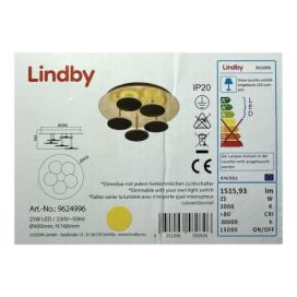 Lindby Lindby - LED Stmívatelné stropní svítidlo CASNI 5xLED/5W/230V 