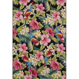 Hanse Home Collection koberce Kusový koberec Flair 105619 Tropical Feeling Multicolored – na ven i na doma Rozměry koberců: 240x340 Mdum M DUM.cz